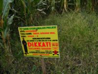 Bafra'da �yi Tar�m Uygulamalar�