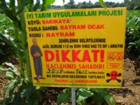 Bafra'da �yi Tar�m Uygulamalar�