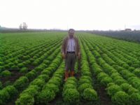 Tar�m Dan��manl��� ve �yi Tar�m K�y Ziyaretleri